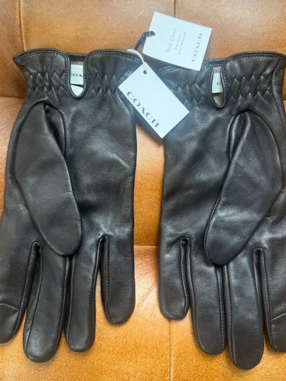 Men's Coach Gloves, Black, L, Sheep Leather and Wool